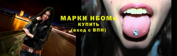 крисы Каменка