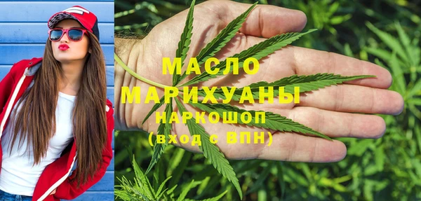 крисы Каменка