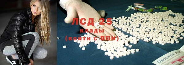 крисы Каменка