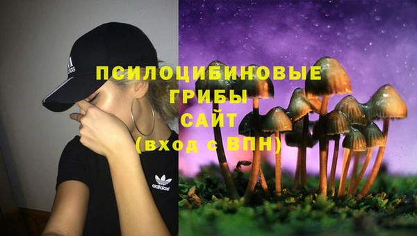 скорость Касимов